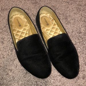 Birdies The Starling